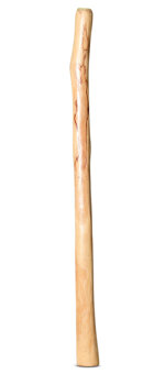 Medium Size Natural Finish Didgeridoo (TW1374)